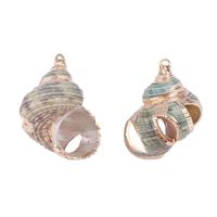 2 Pieces Retro Beach Conch Shell Shell Plating Pendant Jewelry Accessories sku image 13