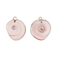 2 Pieces Retro Beach Conch Shell Shell Plating Pendant Jewelry Accessories sku image 14