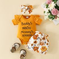 Simple Style Solid Color Cotton Baby Clothing Sets main image 5