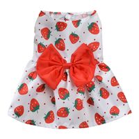 Princess Polyester Flower Bow Knot Printing Pet Clothing main image 5