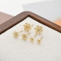 1 Set Sweet Flower Plating Inlay Copper Zircon Ear Studs main image 2