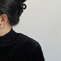 1 Pair Elegant Geometric Solid Color Inlay Copper Zircon Earrings main image 4