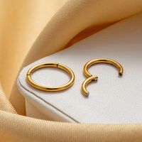 1 Piece IG Style Round 316 Stainless Steel  Hoop Earrings main image 6