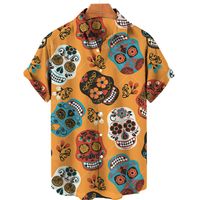 Hombres Floral Ditsy Blusa Ropa Hombre main image 4