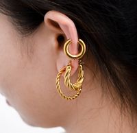 1 Pair Simple Style Geometric Plating Titanium Steel 18k Gold Plated Earrings Ear Studs main image 8