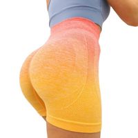 Classic Style Sports Gradient Color Nylon Active Bottoms Shorts main image 3
