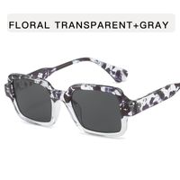 IG Style Retro Geometric Ac Square Full Frame Women's Sunglasses sku image 10