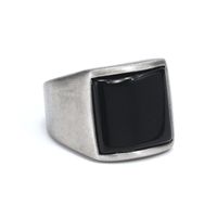 Nordic Style Hip-Hop Punk Square Titanium Steel Inlay Gem 18K Gold Plated Men's Rings main image 5