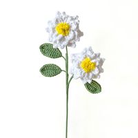 Style Simple Style Classique Fleur De Fleurs Séchées Plantes Artificielles sku image 6
