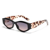 Casual Solid Color Ac Cat Eye Full Frame Women's Sunglasses main image 4