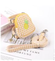 Simple Style Classic Style Polyester Color Block Leash main image 3