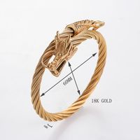 Simple Style Cool Style Dragon Stainless Steel Plating Inlay Zircon 18k Gold Plated Men's Bangle main image 2