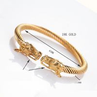 Simple Style Cool Style Dragon Stainless Steel Plating Inlay Zircon 18k Gold Plated Men's Bangle main image 3