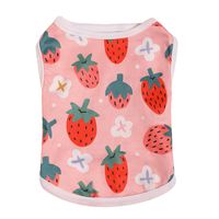 Cute Knit Strawberry Pet Clothing main image 5