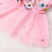 Princess Polyester Rainbow Flower Pet Clothing main image 4