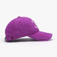Unisex Simple Style Classic Style Color Block Embroidery Curved Eaves Baseball Cap main image 2