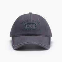 Unisex Simple Style Classic Style Color Block Embroidery Curved Eaves Baseball Cap sku image 7