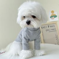 Simple Style Cotton Solid Color Pet Clothing sku image 11