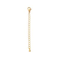 1 Piece Stainless Steel None 18K Gold Plated Solid Color Chain main image 2