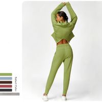Women's Simple Style Classic Style Solid Color Spandex Standing Collar Tracksuit T-shirt Sweatpants main image 6
