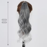 Women's Simple Style Multicolor Holiday Weekend Chemical Fiber Long Curly Hair Wigs main image 10