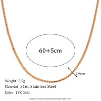 Rostfreier Stahl Titan Stahl Elegant Einfacher Stil Geometrisch Überzug Armbänder Fußkettchen Halskette sku image 11