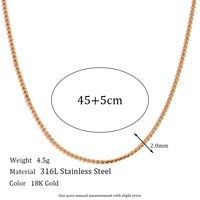 Stainless Steel Titanium Steel Elegant Simple Style Geometric Plating Bracelets Anklet Necklace sku image 10