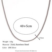 Stainless Steel Titanium Steel Elegant Simple Style Geometric Plating Bracelets Anklet Necklace sku image 3