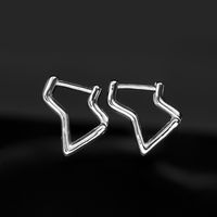 1 Pair Simple Style Irregular Polishing Stainless Steel Hoop Earrings sku image 1