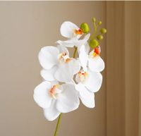 Simple Style Classic Style Flower Plastic Imitation Plants Artificial Flowers sku image 3