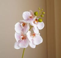 Einfacher Stil Klassischer Stil Blume Kunststoff Nachgemachte Pflanzen Künstliche Blumen sku image 4
