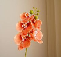 Einfacher Stil Klassischer Stil Blume Kunststoff Nachgemachte Pflanzen Künstliche Blumen sku image 1