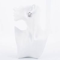 1 Pair Simple Style Heart Shape Wings Polishing Plating Titanium Steel Hoop Earrings main image 2