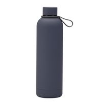 Casual Vacation Solid Color Stainless Steel Water Bottles 1 Piece sku image 11