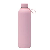 Casual Vacation Solid Color Stainless Steel Water Bottles 1 Piece sku image 15