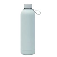 Casual Vacation Solid Color Stainless Steel Water Bottles 1 Piece sku image 16