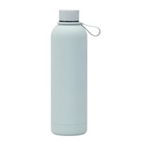 Décontractée Vacances Couleur Unie Acier Inoxydable Bouteilles D'eau 1 Pièce sku image 16