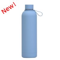 Casual Vacation Solid Color Stainless Steel Water Bottles 1 Piece sku image 20