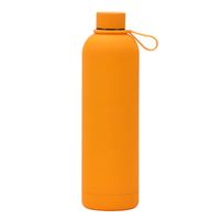 Lässig Ferien Einfarbig Rostfreier Stahl Wasserflaschen 1 Stück sku image 1