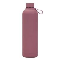 Casual Vacation Solid Color Stainless Steel Water Bottles 1 Piece sku image 4