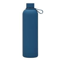 Casual Vacation Solid Color Stainless Steel Water Bottles 1 Piece sku image 13