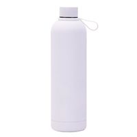 Casual Vacation Solid Color Stainless Steel Water Bottles 1 Piece sku image 14