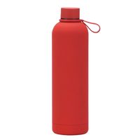 Lässig Ferien Einfarbig Rostfreier Stahl Wasserflaschen 1 Stück sku image 15