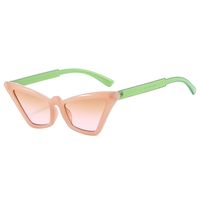 Basic Color Block Pc Cat Eye Full Frame Women's Sunglasses sku image 7
