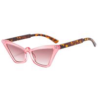 Basic Color Block Pc Cat Eye Full Frame Women's Sunglasses sku image 5