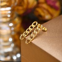 1 Pair IG Style Simple Style Chain 201 Stainless Steel 18K Gold Plated Drop Earrings main image 3
