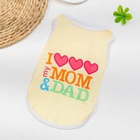 Casual Polyester Letter Color Block Pet Clothing sku image 7