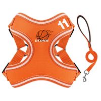 Cute Polyester Basketball Football Leash sku image 2