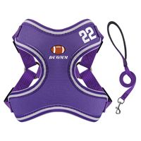 Cute Polyester Basketball Football Leash sku image 7