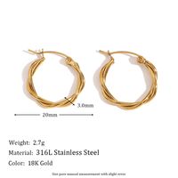 1 Pair Vintage Style Simple Style Irregular Solid Color Plating Stainless Steel 18k Gold Plated Drop Earrings sku image 2